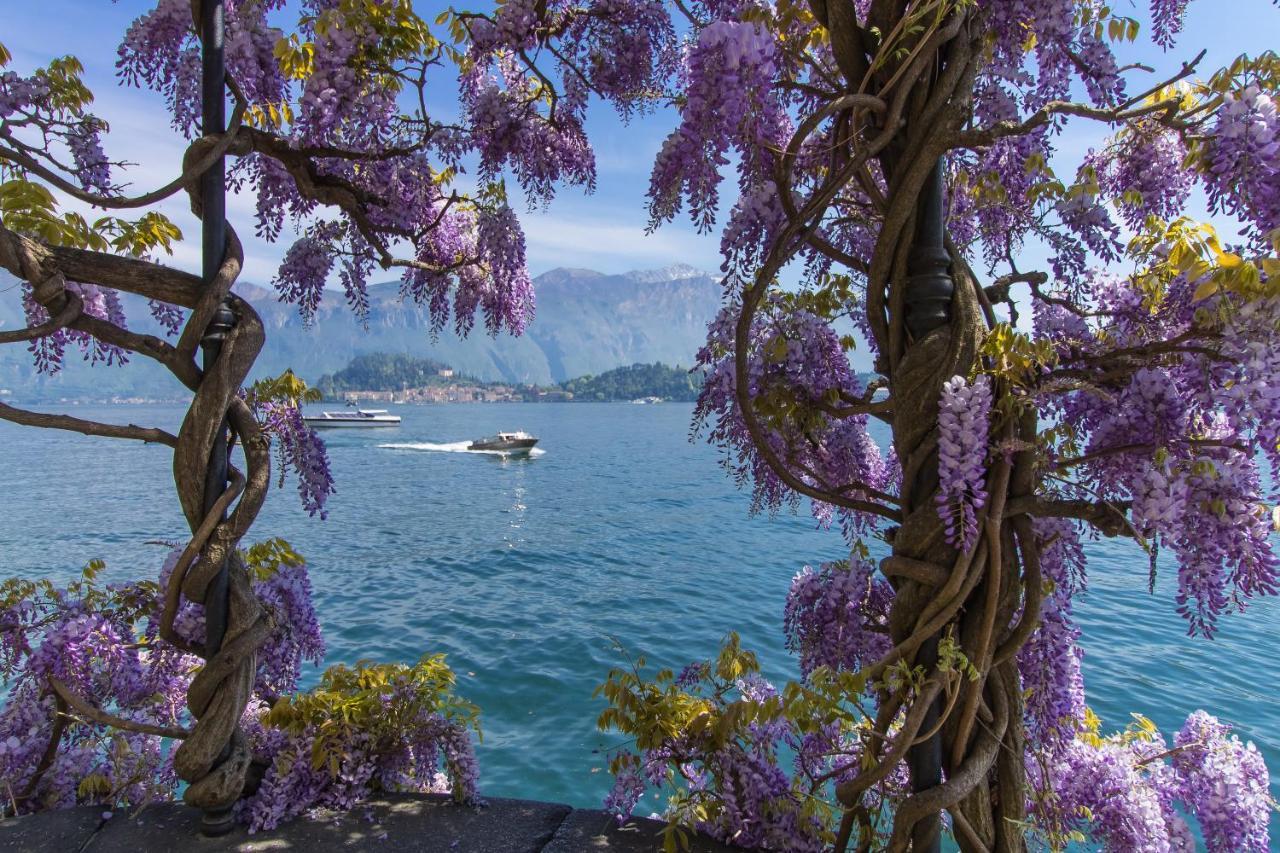 Garibaldi View Apartment